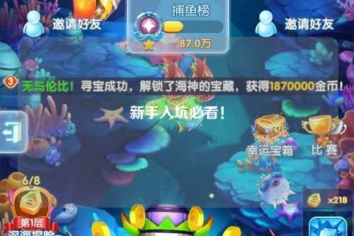 新手入坑必看！