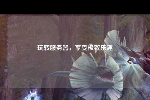 玩轉服務器，享受極致樂趣