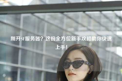 剛開SF服務(wù)器？這份全方位新手攻略助你快速上手！