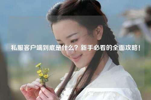 私服客戶端到底是什么？新手必看的全面攻略！