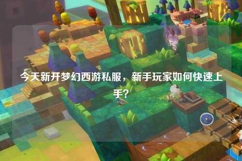 今天新開夢幻西游私服，新手玩家如何快速上手？